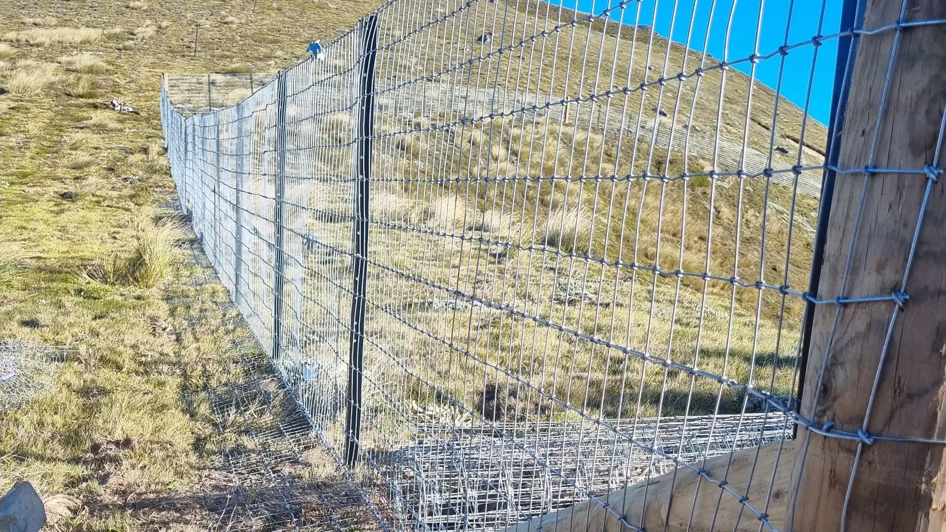 Predator Fence for Farm Protection